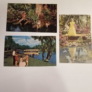 3 Vintage Postcards Silver Springs Florida Filmed Creature of the Black Lagoon
